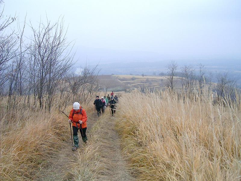 20111210 070.jpg